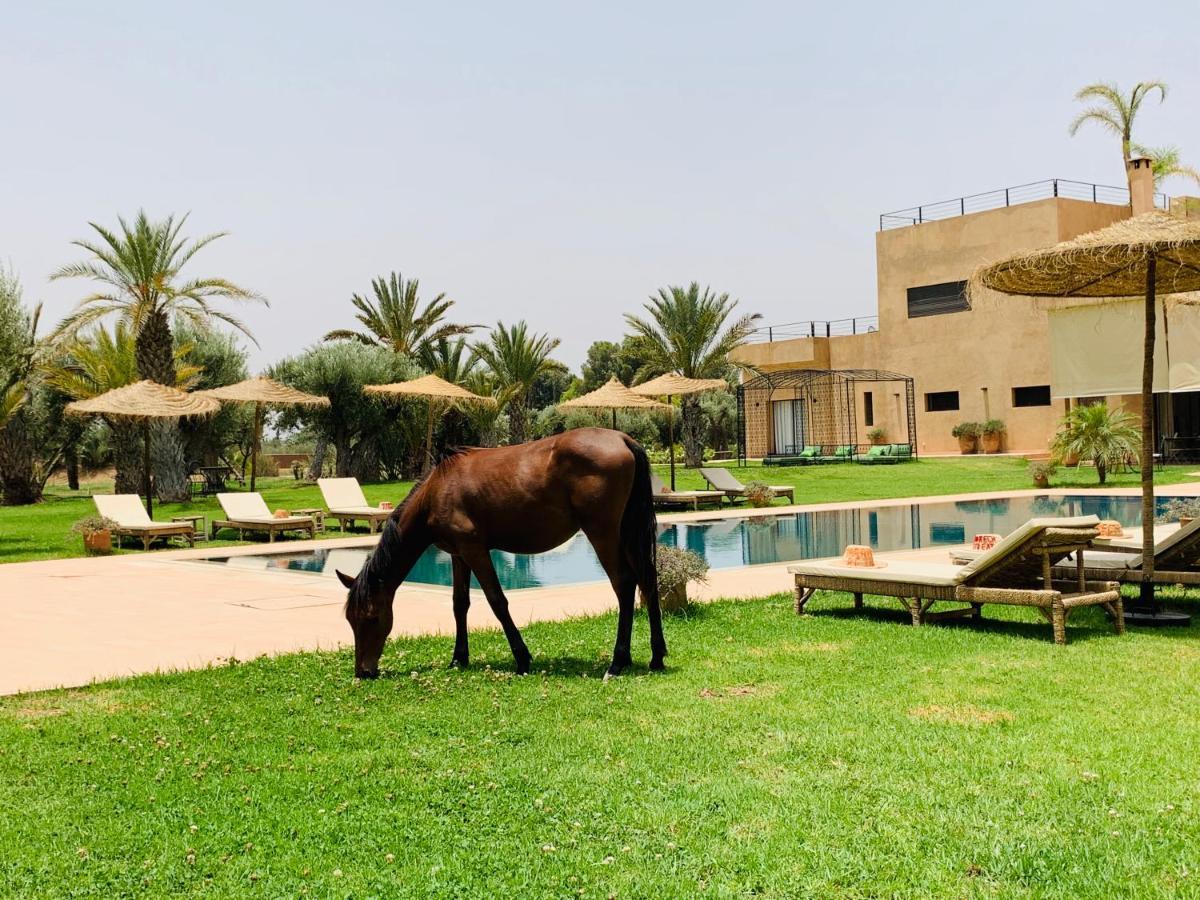 Hotel Marrakech Retreat Srarhna Exteriér fotografie