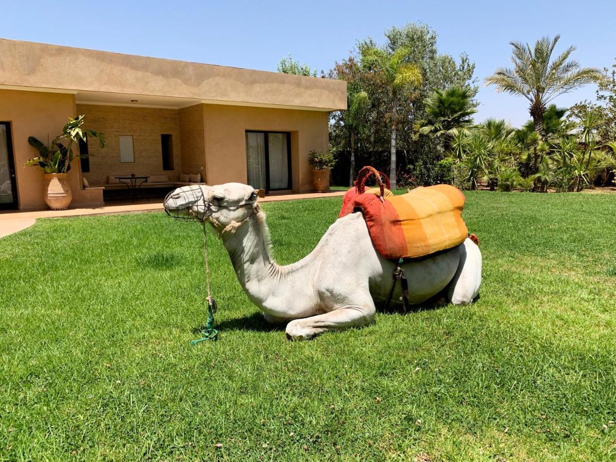 Hotel Marrakech Retreat Srarhna Exteriér fotografie
